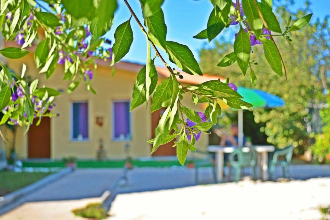 Dependance Miluna Nettuno Bagian luar foto